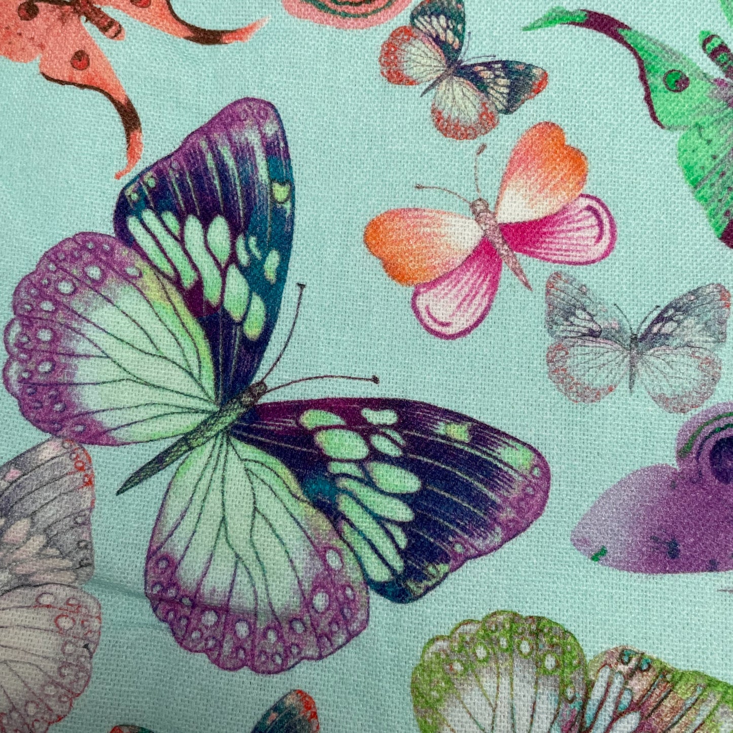 Blue Butterfly 100% Cotton Canvas Wide Fabric