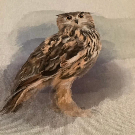 Owl Cushion Panel on Oatmeal Linen Style Hardwearing Fabric