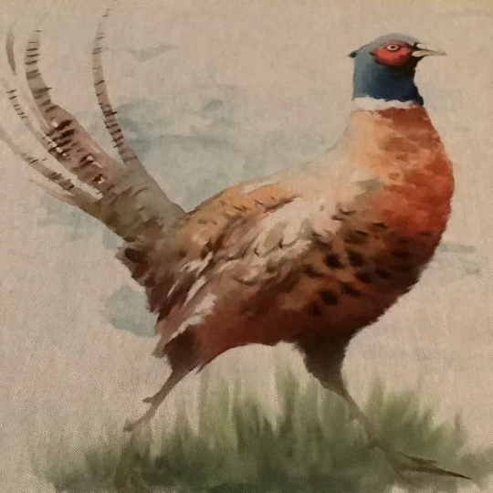 Pheasant Cushion Panel on Oatmeal Linen Style Hardwearing Fabric