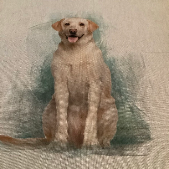 Labrador Cushion Panel on Oatmeal Linen Style Hardwearing Fabric