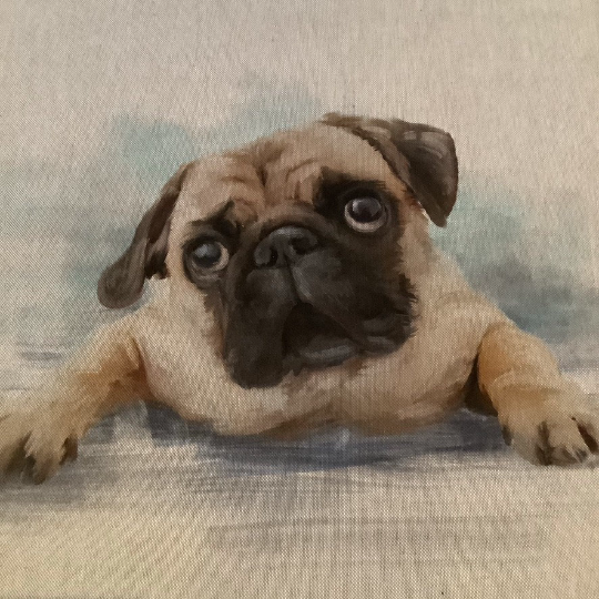 Pug Dog Cushion Panel on Oatmeal Linen Style Hardwearing Fabric