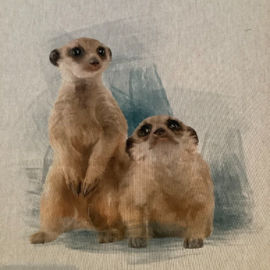 Meerkat Cushion Panel on Oatmeal Linen Style Hardwearing Fabric