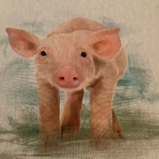 Pig Cushion Panel on Oatmeal Linen Style Hardwearing Fabric
