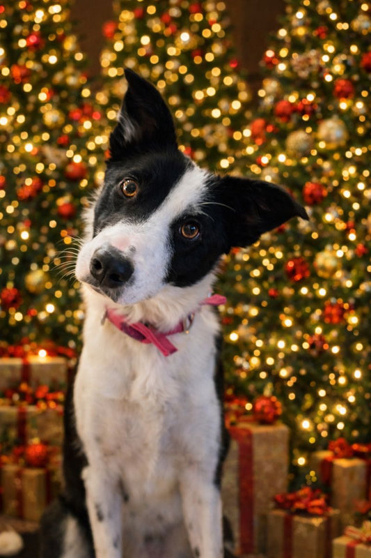 January 2026 – Settling Back into Business