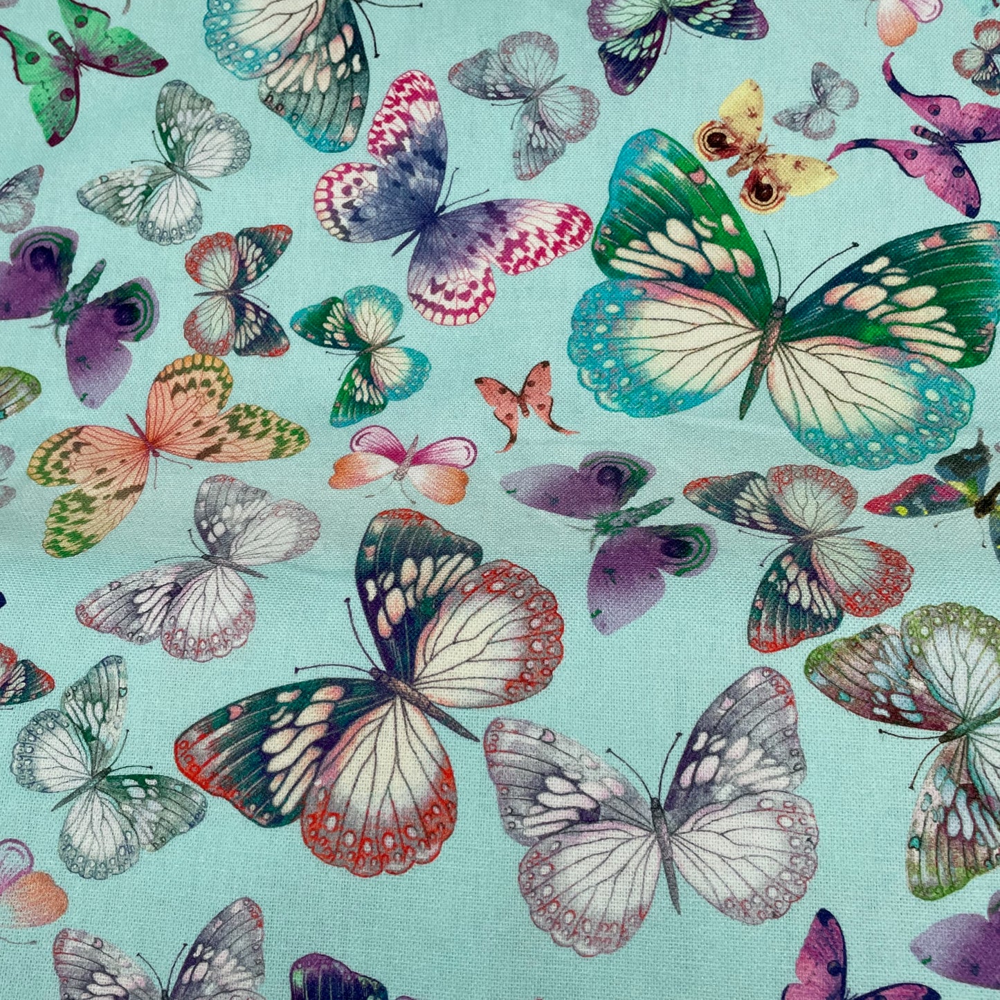 Blue Butterfly 100% Cotton Canvas Wide Fabric