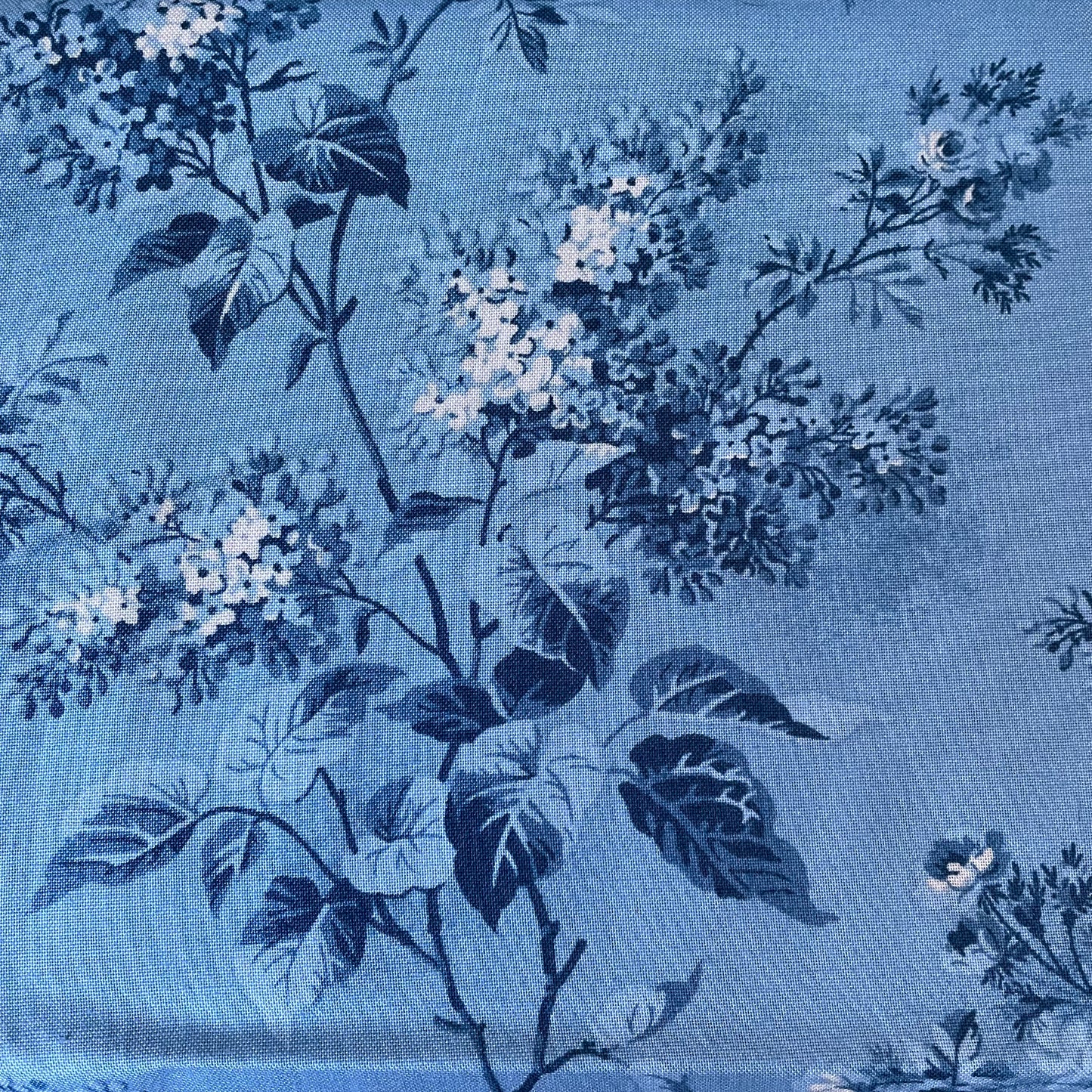 Blue Sky Collection — Edyta Sitar for Andover Fabrics | 100% Premium Cotton Quilting Fabric | Fat Quarter | Long Quarter | Half Metre | Metre