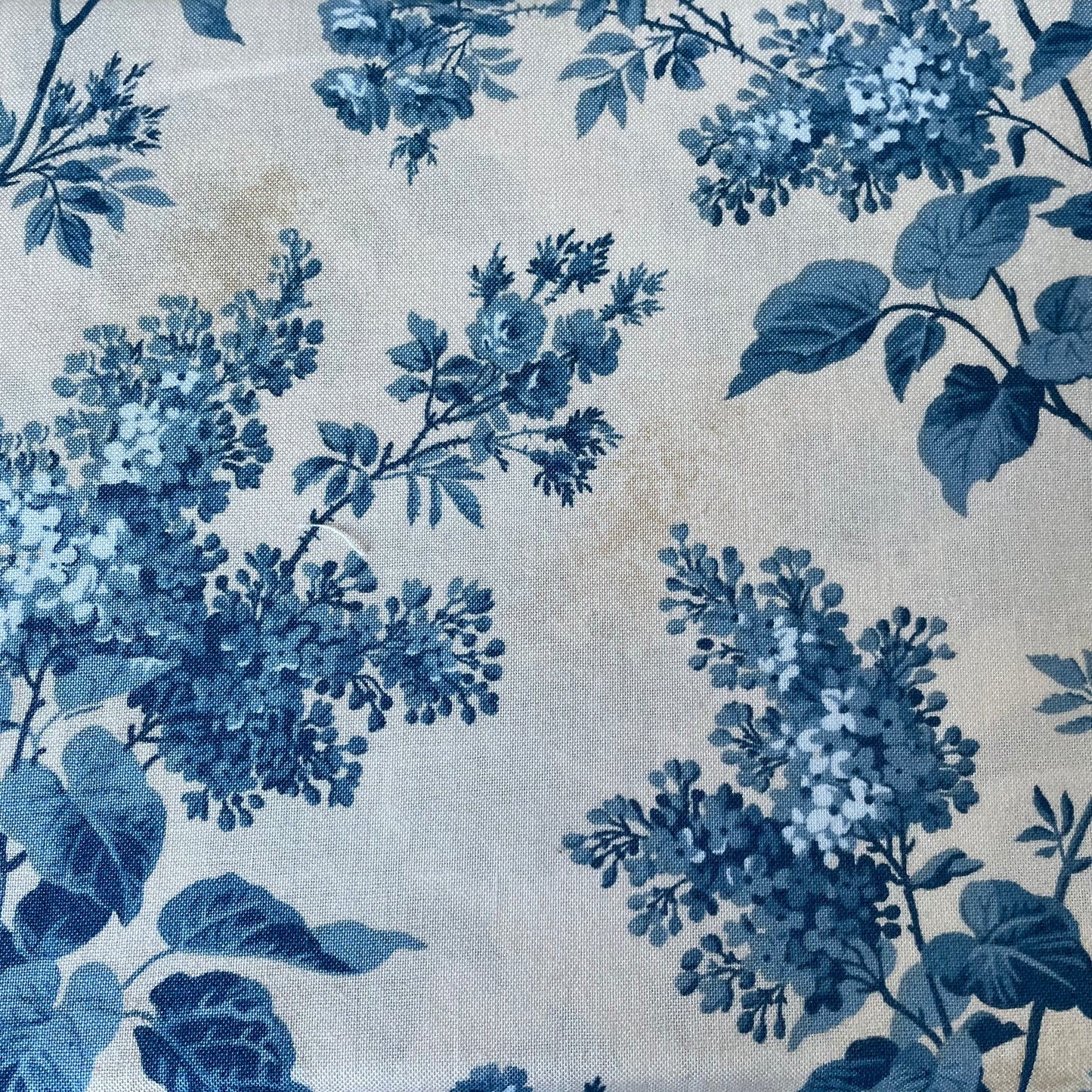 Blue Sky Collection — Edyta Sitar for Andover Fabrics | 100% Premium Cotton Quilting Fabric | Fat Quarter | Long Quarter | Half Metre | Metre