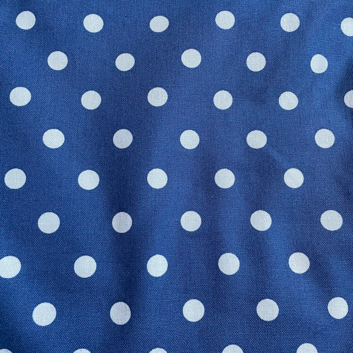 Blue and Ivory Spot Cotton Canvas Fabric