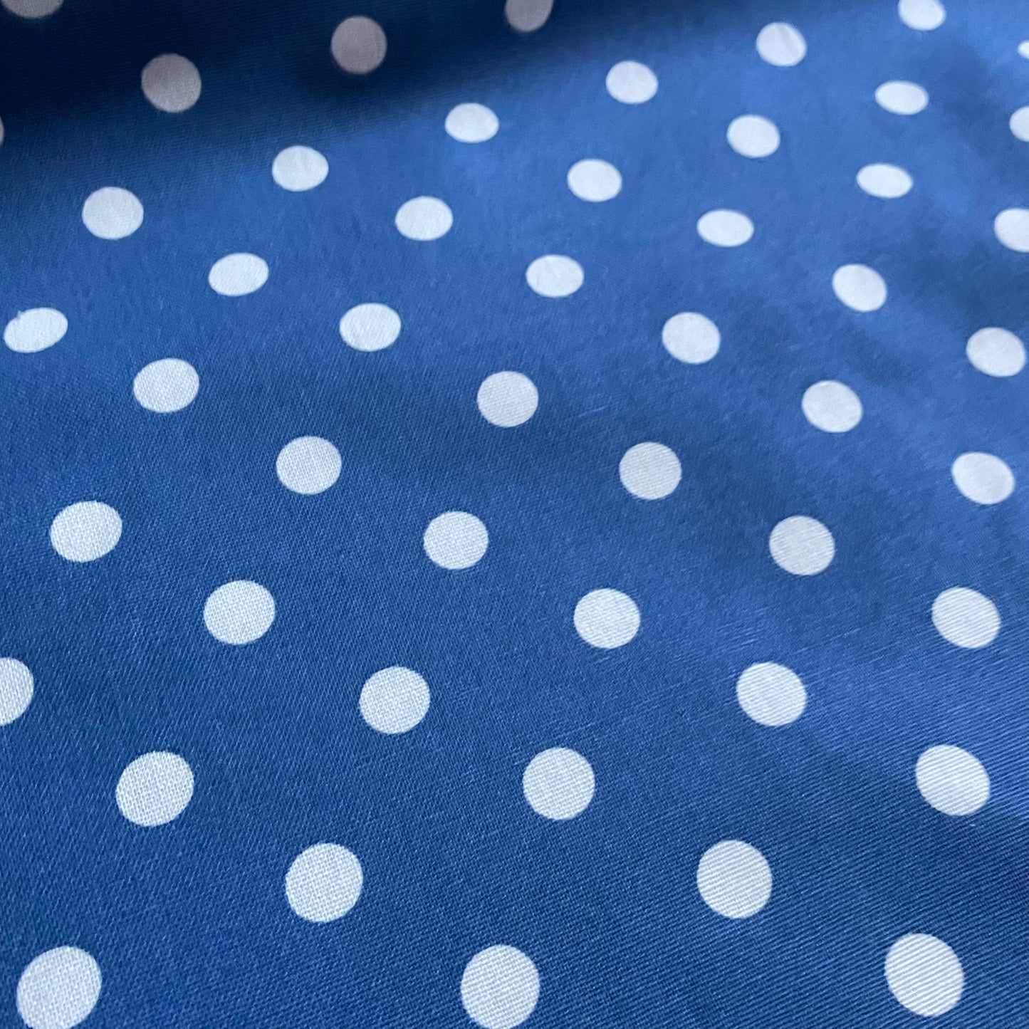 Blue and Ivory Spot Cotton Canvas Fabric