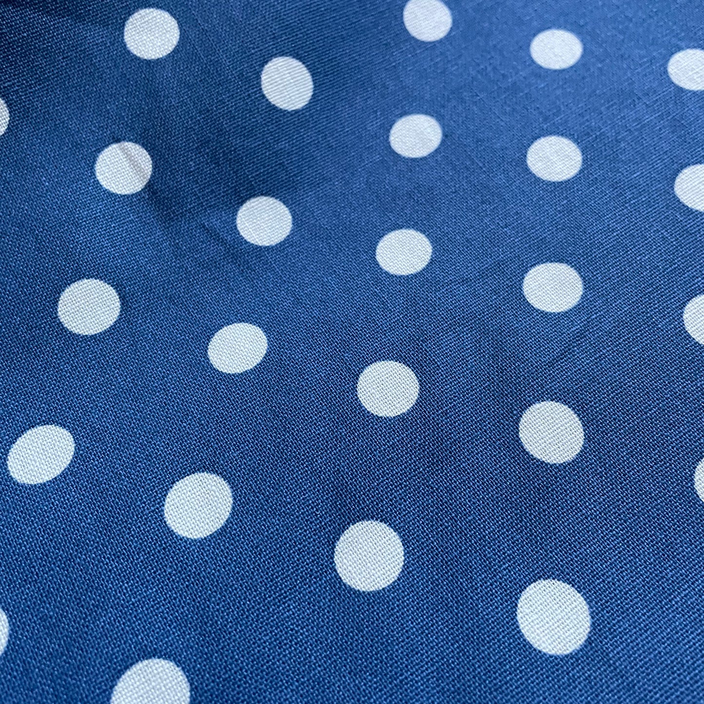 Blue and Ivory Spot Cotton Canvas Fabric