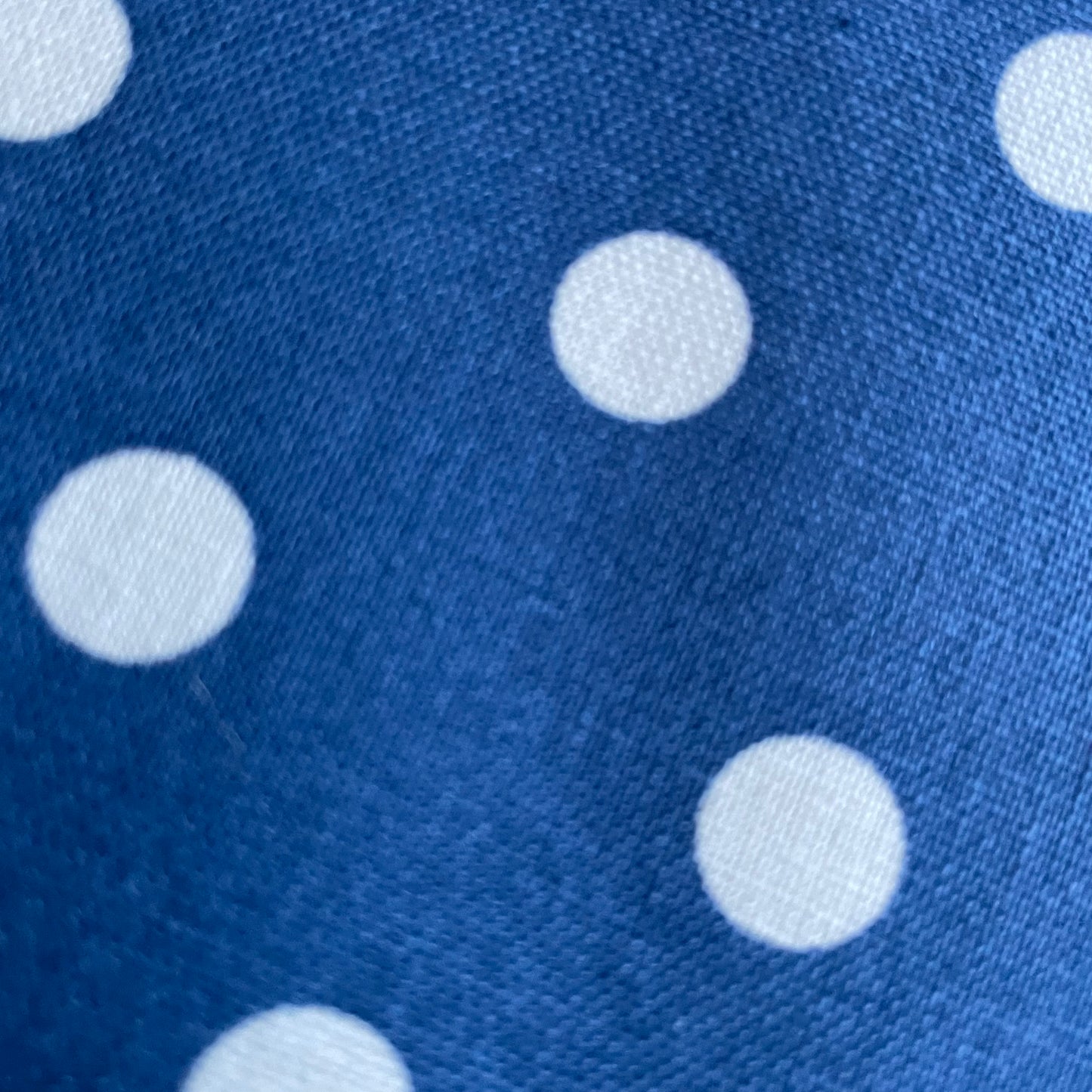 Blue and Ivory Spot Cotton Canvas Fabric