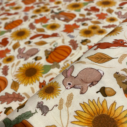 Belle & Boo Halloween Pumpkin Autumn Print Fabric – 100% Cotton Fabric – 25cm Units