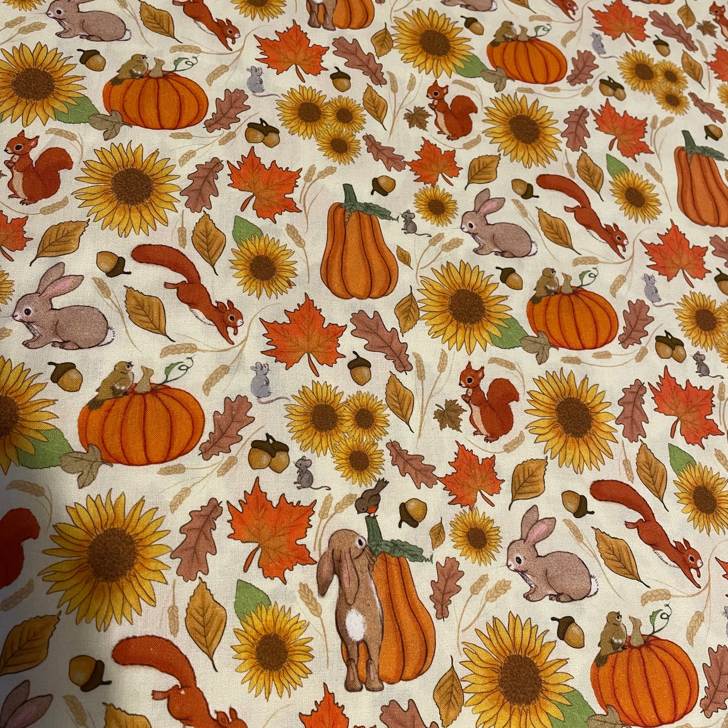 Belle & Boo Halloween Pumpkin Autumn Print Fabric – 100% Cotton Fabric – 25cm Units