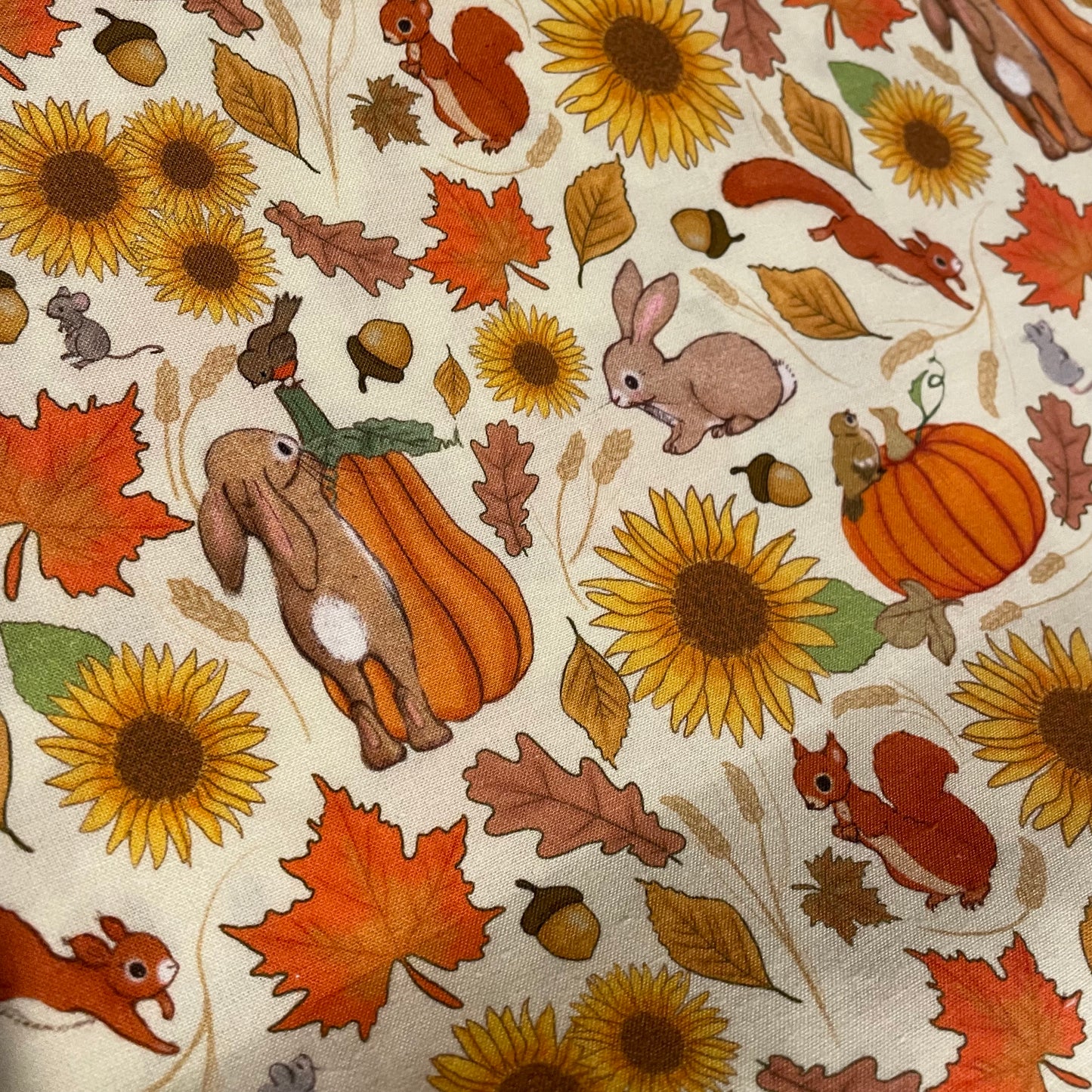 Belle & Boo Halloween Pumpkin Autumn Print Fabric – 100% Cotton Fabric – 25cm Units