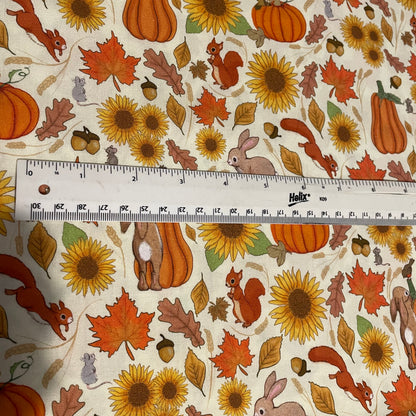 Belle & Boo Halloween Pumpkin Autumn Print Fabric – 100% Cotton Fabric – 25cm Units